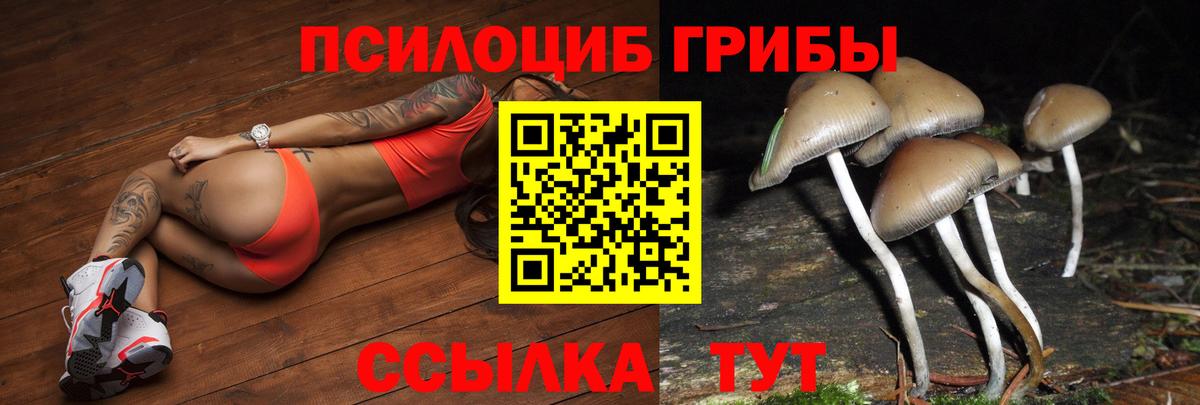 даркнет сайт  Псилоцибиновые грибы прущие грибы  Вход с VPN  Майский 